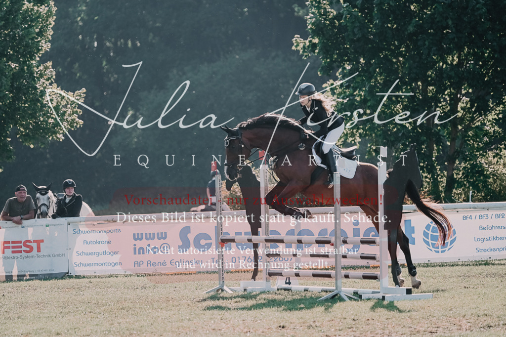 DSC_4534 | Pferde- und Turnierfotografie in Westsachsen. Pferdeportraits, Auftragszeichnungen und intuitive Kunst.