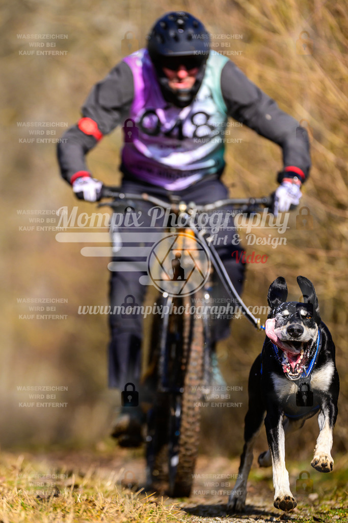 MompixPhotography_Schwabentrail2025_SO_Bike-43 | PayLife