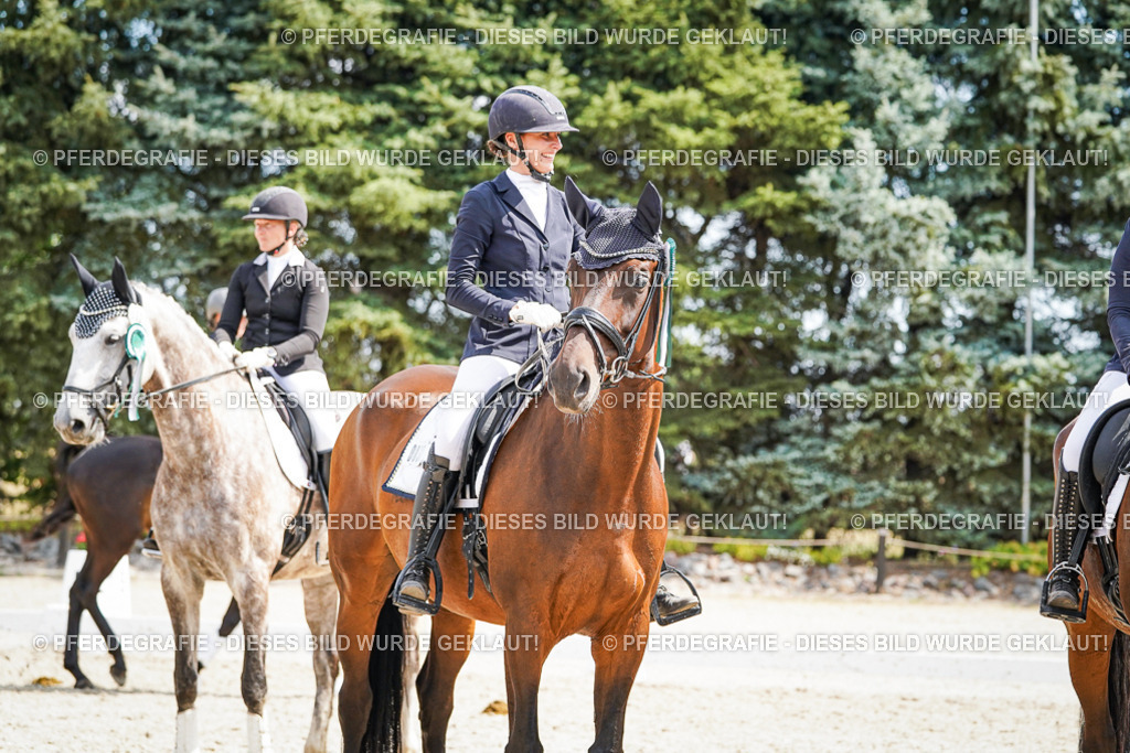 DSC02277 | Pferdegrafie