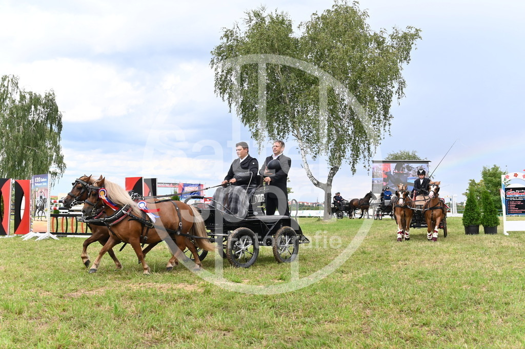 DSC_4658 | sattelsport - Realisiert mit Pictrs.com