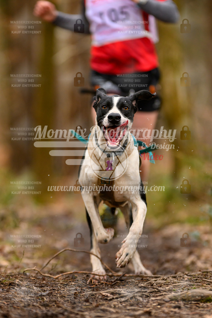 MompixPhotography_CDSM24_SA_Fun-8 | PayLife