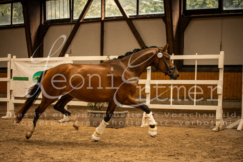 2FS_L00149 | Leoni Ertmer Photography - Realisiert mit Pictrs.com