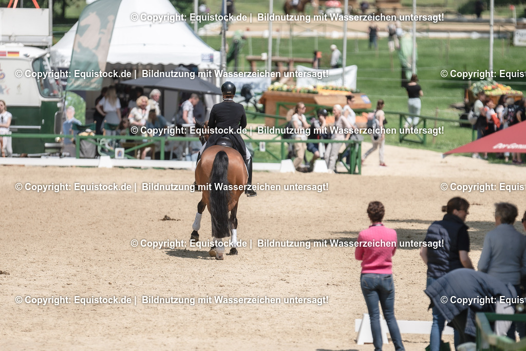 DSC_7759 | equistock