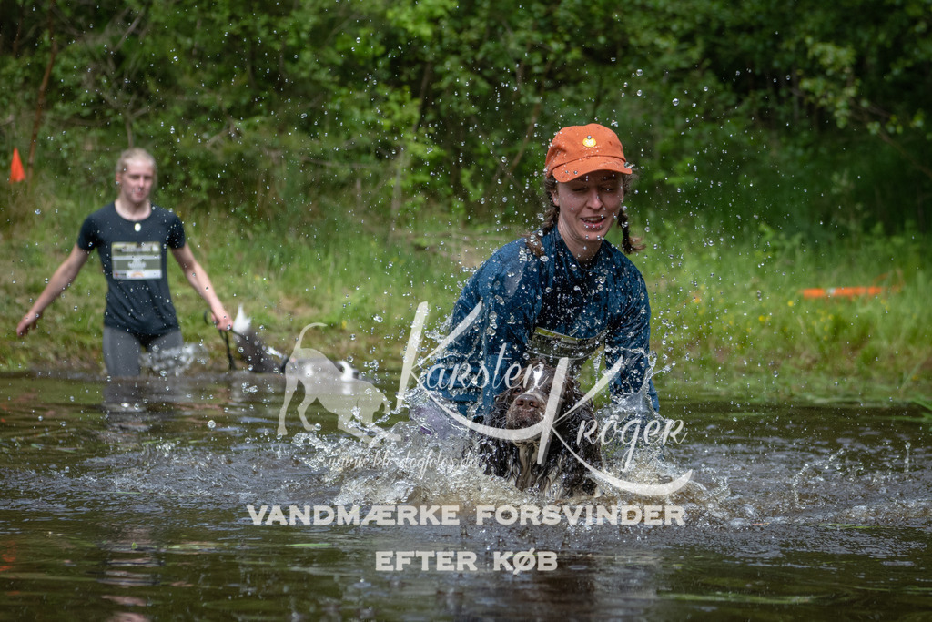 1122DKK990076 | kk-dogfotos