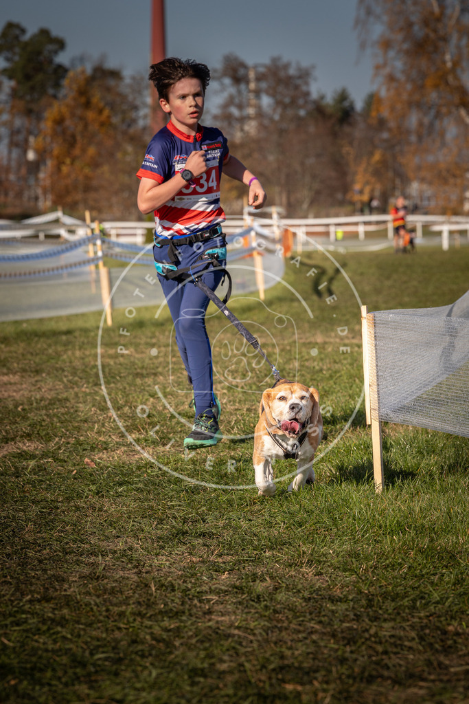 CaniXpix_0L8A7512 | Hundefotografie, Tierfotograf, Pfotenfotografie, Fotoshooting Hund, Hunde Portrait, Hundesport, Hundeportraits, Heideshooting, Hunde, Sportfotograf, Hundefotograf, Turnierhundsport, THS,  - Realisiert mit Pictrs.com