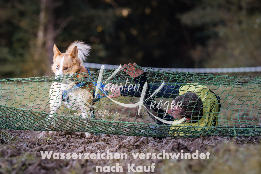 1028_ZZ91489 | kk-dogfotos