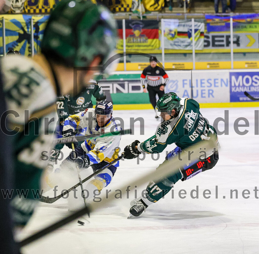 2026-01-09_072_TSV_Erding_gegen_Stuttgart_Rebels | Erding, Deutschland, 09.01.2026:Eishockey, Oberliga Süd 2025 / 2026, 35. Spieltag, TSV Erding gegen Stuttgart Rebels, Endergebnis: Elia Ostwald (Erding Gladiators, #17)Foto: Christian Riedel / fotografie-riedel.net