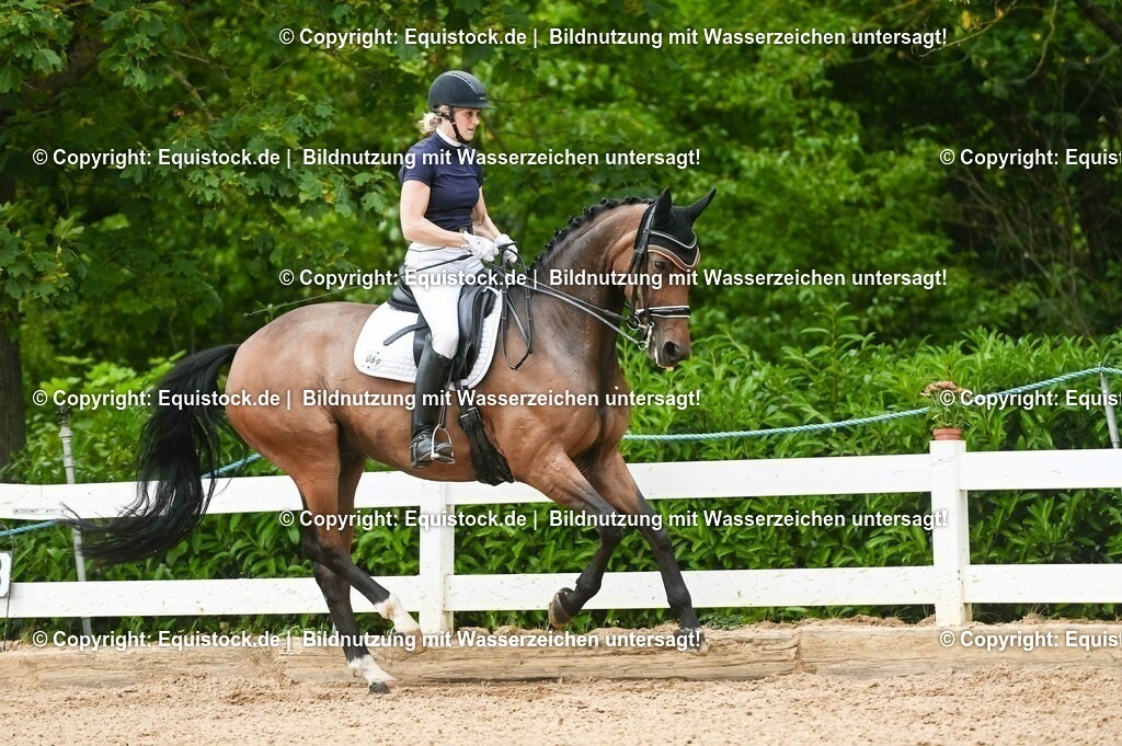 20230716_01_Dressurprüfung Kl.M_0446 | equistock