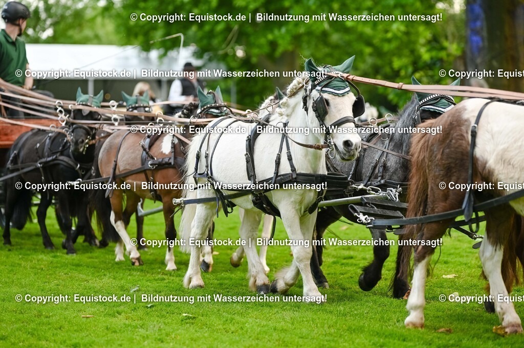 20250606_Lange-Pferdenacht_0224 | Foto: Thomas Hartig