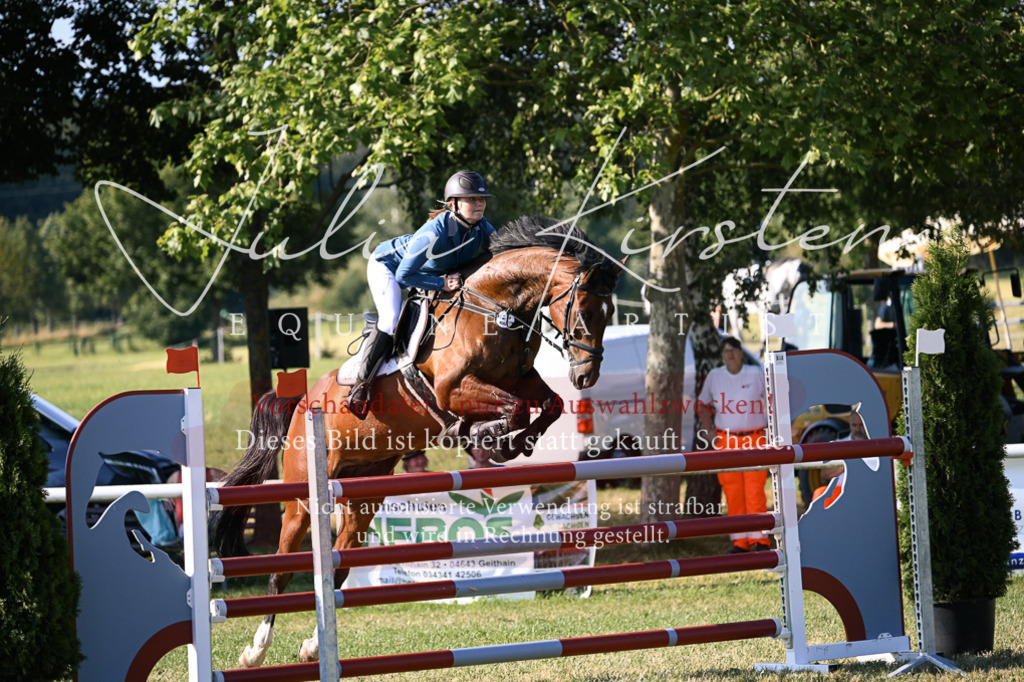 DSC_1600 | Pferde- und Turnierfotografie in Westsachsen. Pferdeportraits, Auftragszeichnungen und intuitive Kunst.