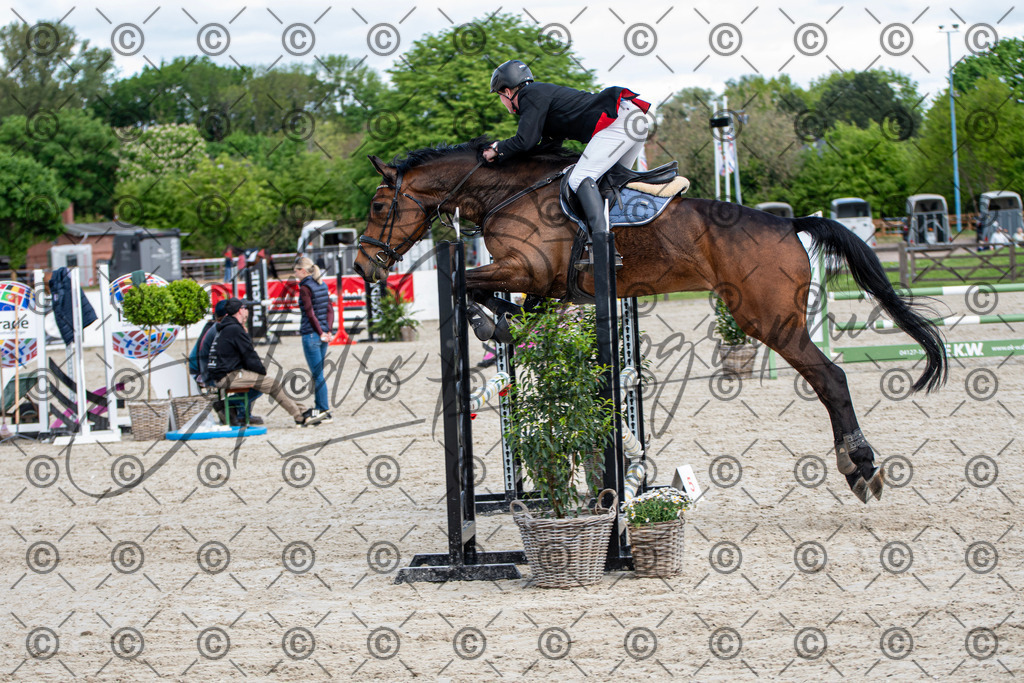 KPT_5043 | andre_photographic