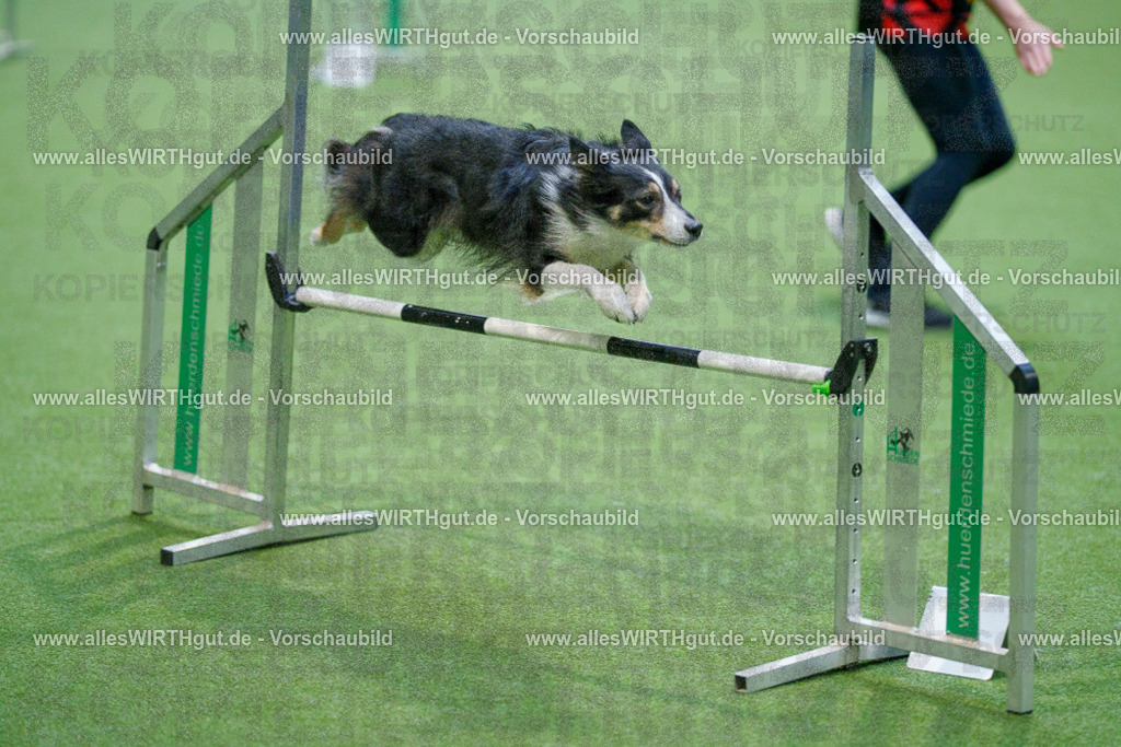 @allesWIRTHgut_Tierfotografie - www.allesWIRTHgut.de - 2604250816-7R505999 | Professionelle Tierfotografie in Mönchengladbach von Daniel Wirth (allesWIRTHgut). Liebevolle & natürliche Bilder von Hunden & Katzen für unvergessliche Erinnerungen.