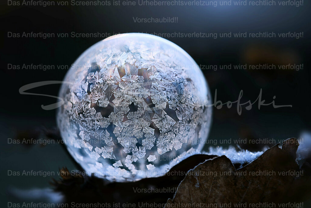 Frozen Bubble / gefrorene Seifenblase | People- und Tierfotografie, Imageaufnahmen, Veranstaltungsfotografie und Wandbilder aus der Natur ★ Made in Germany ✔️ Druck + Downloads ✔️ Naturfotografie in Top Qualität ★ schneller Versand, weltweite Lieferung! - Realisiert mit Pictrs.com