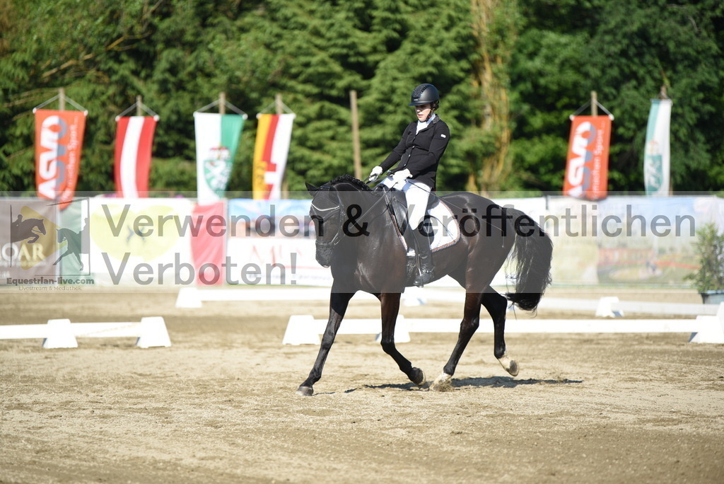 DSC_7083 | equestrian-live-com