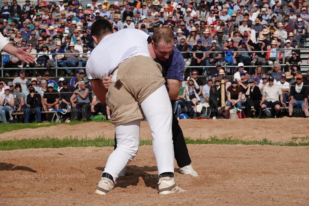DSC01060 | Schwingen - Realisiert mit Pictrs.com