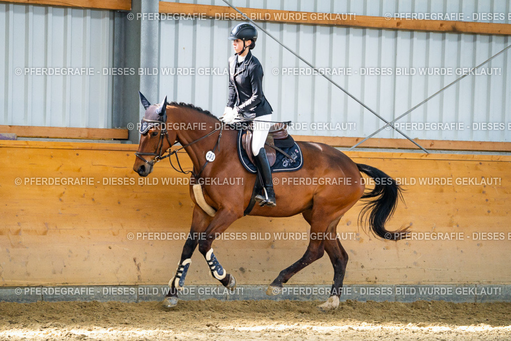 DSC01741 | Pferdegrafie