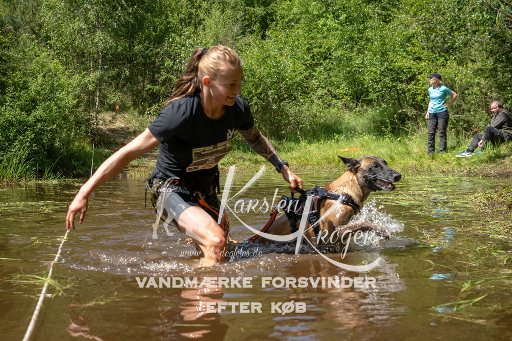 DK K990845141405 | kk-dogfotos