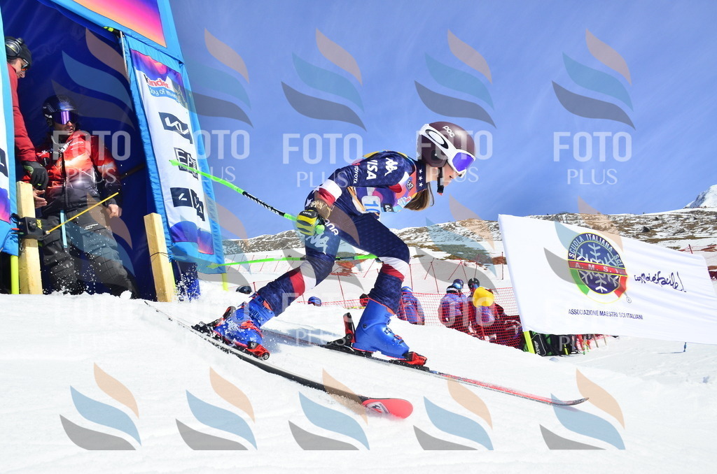 _ELE0622 | holidayphoto