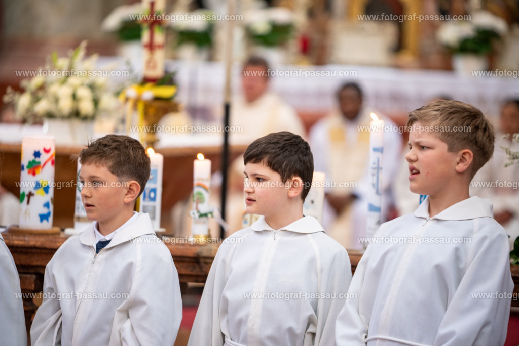 _DSC2683 | Hier finden Sie die Online Foto-Galerie von fotograf-passau.com und marius-handrugan.de. Suchen Sie sich direkt Ihre Lieblingsbilder aus, ob als Ausdruck oder Download. - Realisiert mit Pictrs.com