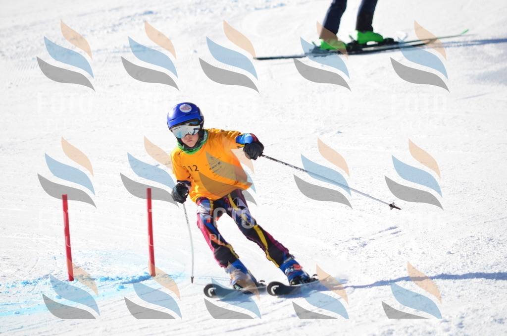 C6291 | holidayphoto