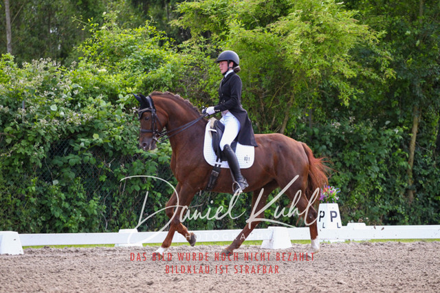 DKP41429 | Deine Turnierfotos vom Reitturnier online kaufen: Dressur, Springen & Siegerehrung. Professionelle Pferdefotografie aus dem Rheinland – als Download & Print.Alternative: Turnierfotograf für den Pferdesport: Finde deine Fotos von Dressur- und Springturnier