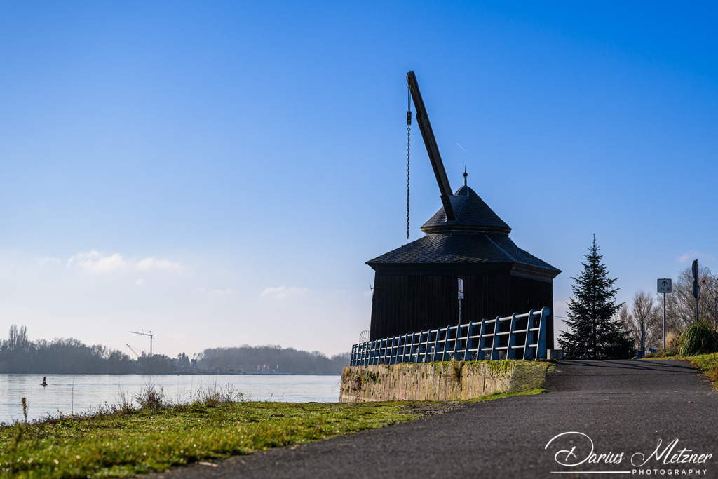 DSC_9037 | Fotografien, Fotos und Bilder aus Mainz, Frankfurt, Wiesbaden und anderen Orten auf der Welt - Fotografiert von Darius Metzner