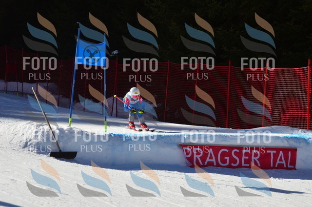 C5204 | holidayphoto