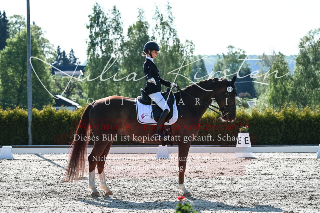 20230514_JK-Röhrsdorf-18-215 | Pferde- und Turnierfotografie in Westsachsen. Pferdeportraits, Auftragszeichnungen und intuitive Kunst.