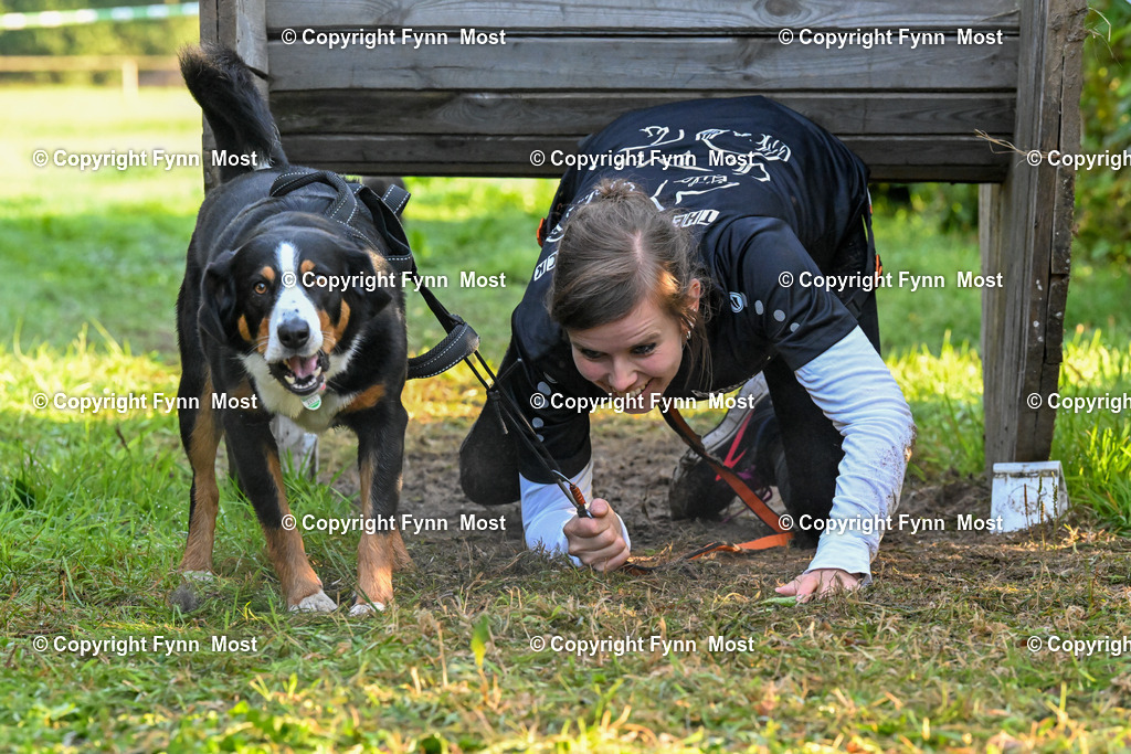 DSC_4179 | Hallo und herzlich Willkommen auf meiner Shop-Seite Fynn Most.

Ich wünsche Dir viel Spaß beim stöbern durch die Bilder, wenn Du Fragen hast oder Bilder vermisst, kannst du mir gerne eine Nachricht schreiben. - Realisiert mit Pictrs.com