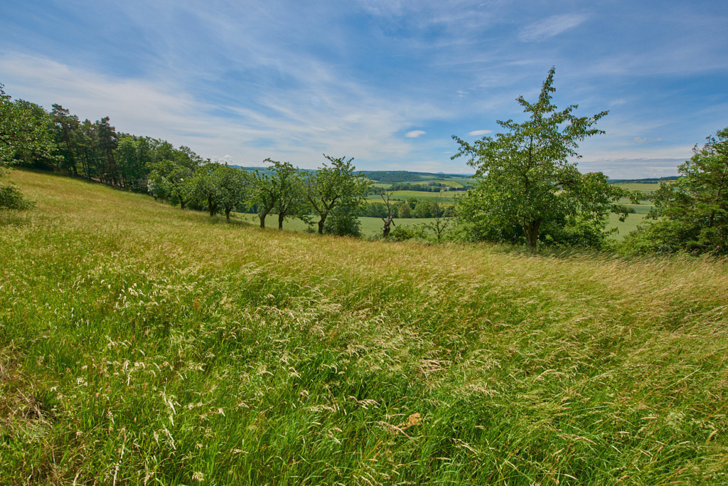 Auf dem Kanitzberg bei Burkhardswalde 05 | Bedeutsame Landschaften Deutschlands - Realisiert mit Pictrs.com
