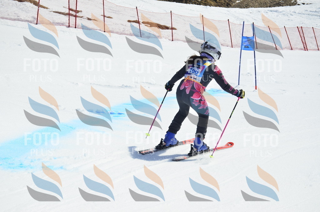 _ELE1109 | holidayphoto