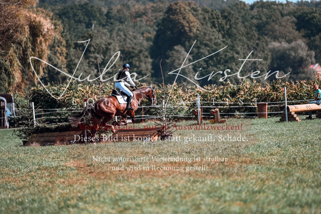 DSC_1090 | Pferde- und Turnierfotografie in Westsachsen. Pferdeportraits, Auftragszeichnungen und intuitive Kunst.