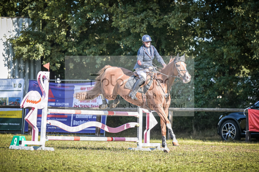 DOS_1551 | Entdecke hochwertige Reitturnierfotos von Foto Oger. Professionell, emotional und authentisch – jetzt Lieblingsmomente im Shop bestellen.Deutschlandweite Turnierfotografie. - Realisiert mit Pictrs.com