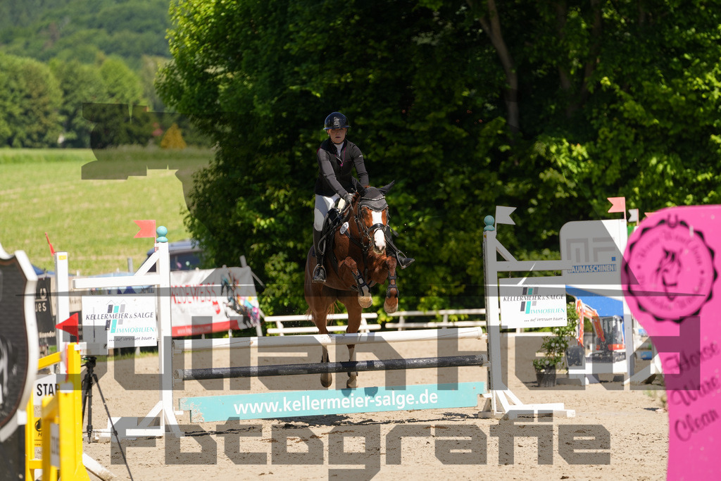 DSC02221 | Julian Held Fotografie - Realisiert mit Pictrs.com