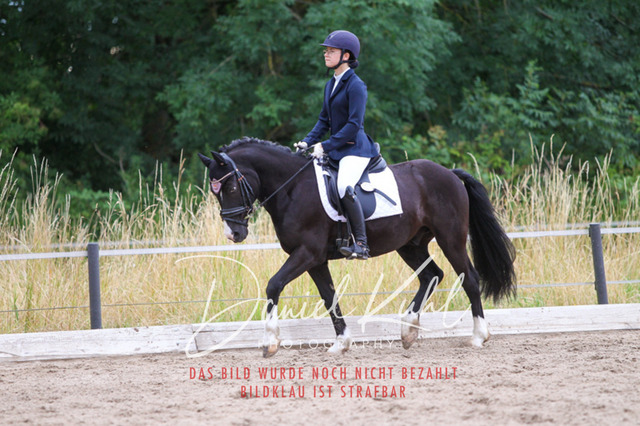 DKP46779 | Turniersportfotografie; Pferdefotografie; Dressurfotografie