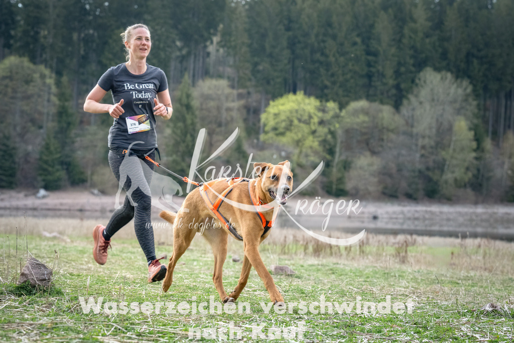 1819_ZZ95997-Bearbeitet-Bearbeitet | kk-dogfotos