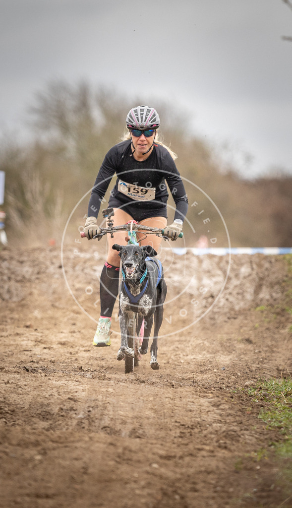 DV3A1701 | Hundefotografie, Tierfotograf, Pfotenfotografie, Fotoshooting Hund, Hunde Portrait, Hundesport, Hundeportraits, Heideshooting, Hunde, Sportfotograf, Hundefotograf, Turnierhundsport, THS,  - Realisiert mit Pictrs.com