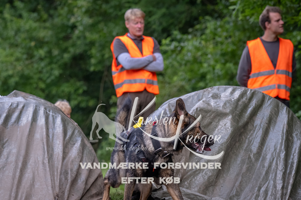 1736_ZZ92893-Bearbeitet | kk-dogfotos