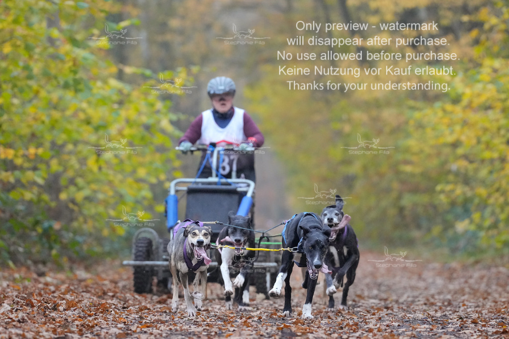 Rigs4bis8So-82 | stephaniefillaphotographie - Realisiert mit Pictrs.com