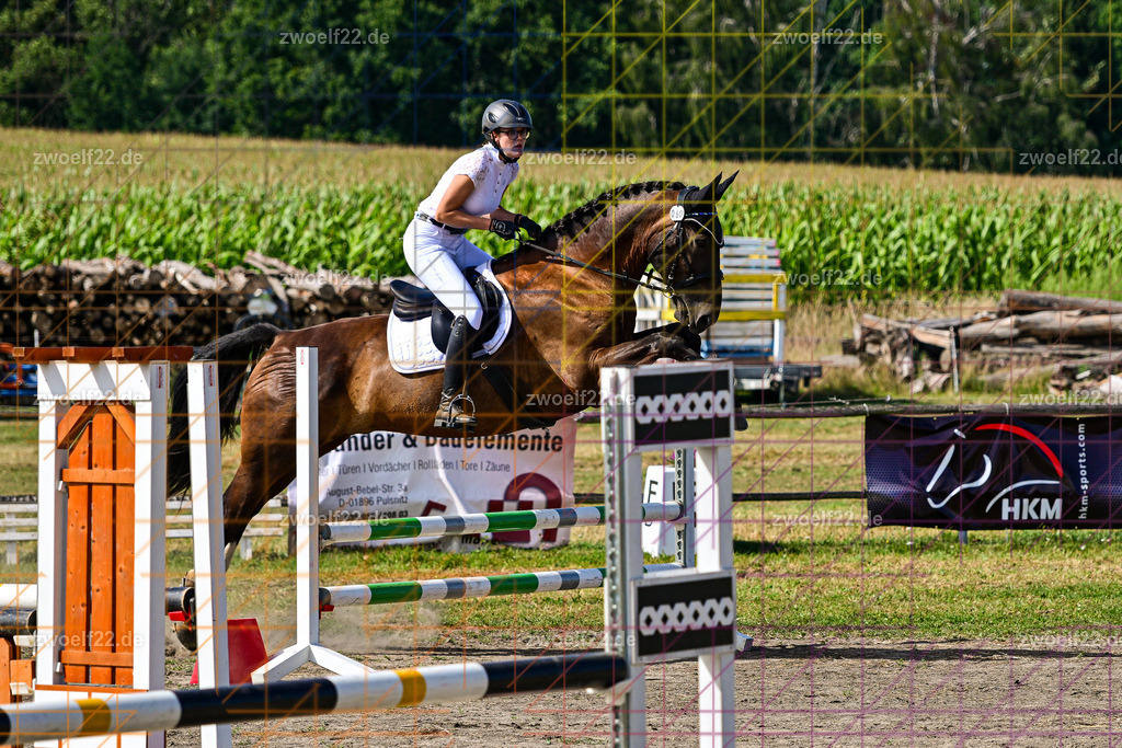 30 Jahre RFV Pulsnitz e.V., Pulsnitz am 09.08.2026 | Zur 28. breitensportlichen Veranstaltung des RFV Pulsnitz e.V. fanden verschiedene Wettbewerbe in nahezu allen Disziplinen des Pferdesport statt. - 06 Standard-Spring-Wettbewerb - Realisiert mit Pictrs.com