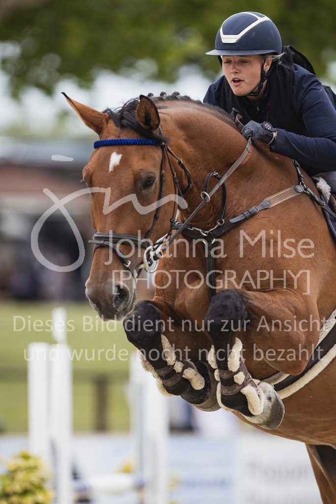 250710_BHO_Stil-L-1-126 | Deine schönsten Turniermomente als professionelle Fotos! Entdecke hochwertige Pferdesport-Fotografie im Online-Shop. Jetzt Fotos finden & bestellen!