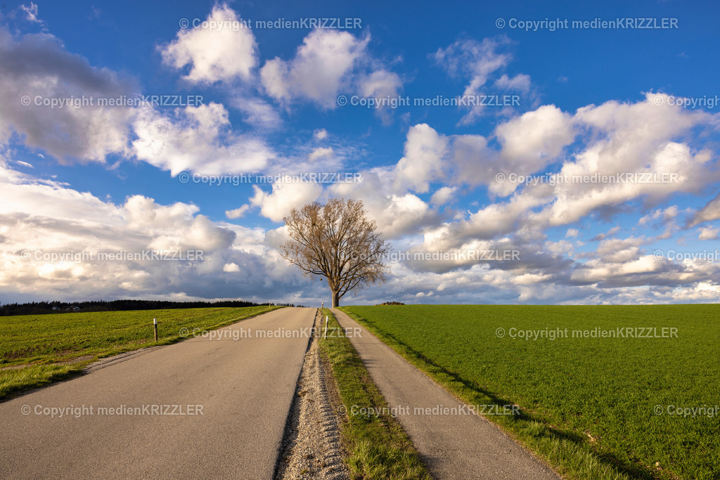 _J3A0385 | medienkrizzler - Realisiert mit Pictrs.com