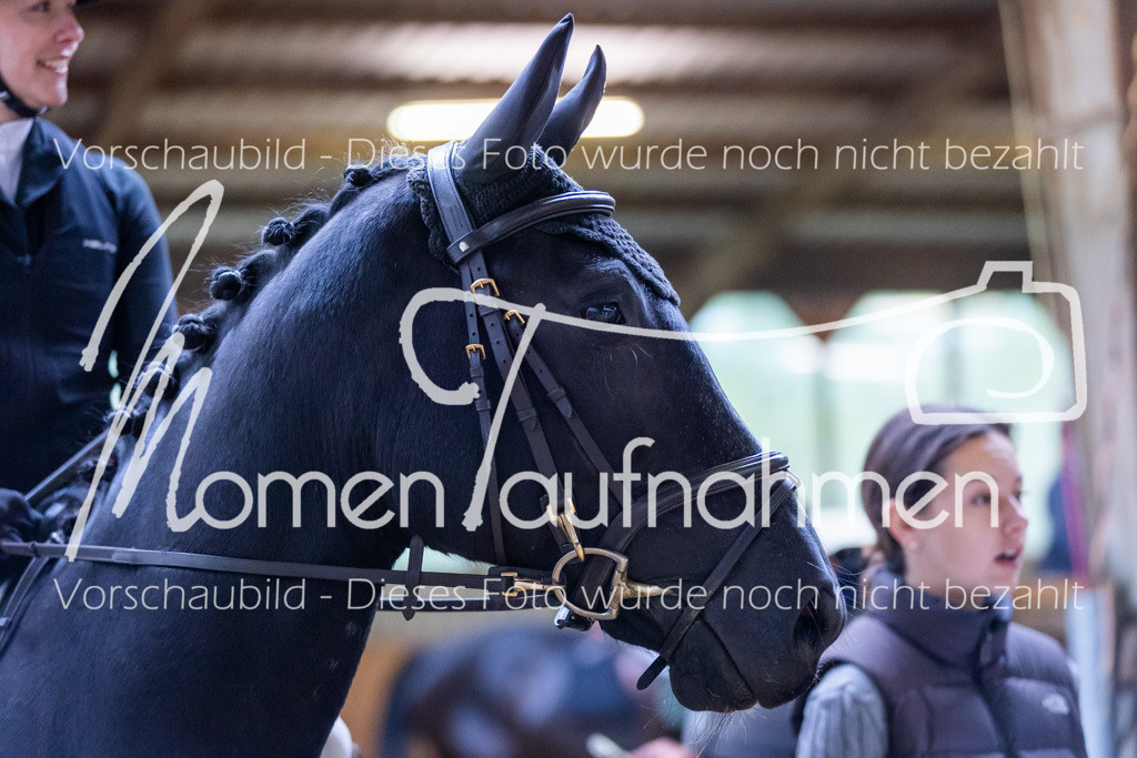 Sth-Gewöhnung-014 | MomenTaufnahmen Pferdesportfotos