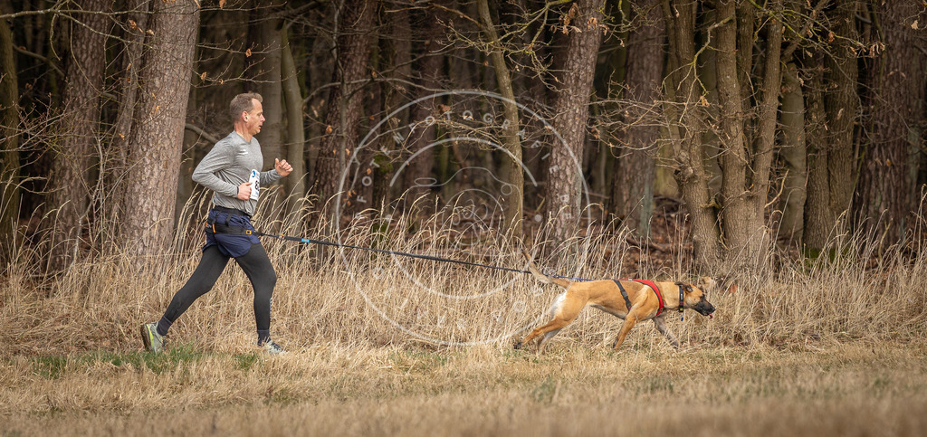 DV3A4221 | Hundefotografie, Tierfotograf, Pfotenfotografie, Fotoshooting Hund, Hunde Portrait, Hundesport, Hundeportraits, Heideshooting, Hunde, Sportfotograf, Hundefotograf, Turnierhundsport, THS,  - Realisiert mit Pictrs.com