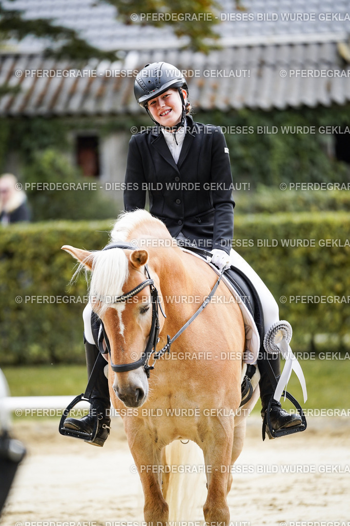 DSC04975 | Pferdegrafie