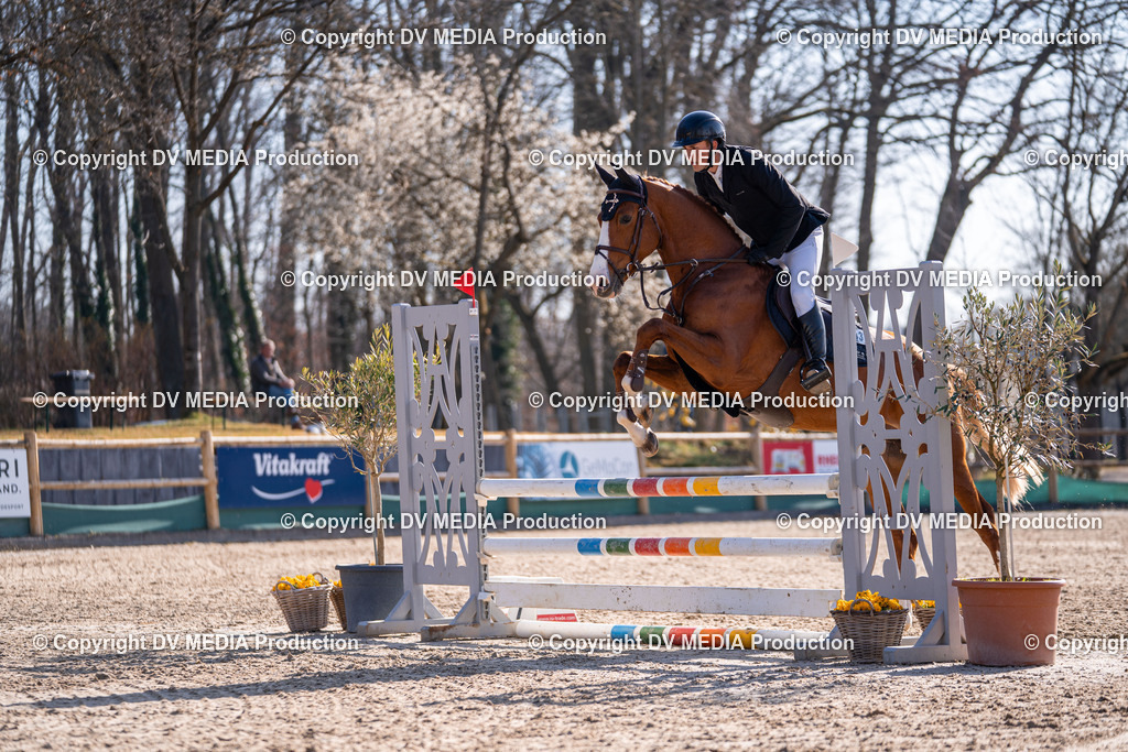 Kranichstein Tag 1-286 | dv-media-shop - Realisiert mit Pictrs.com