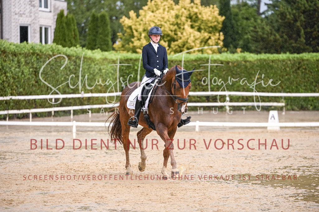 Schugtsche-Aluta25-55.Dressurreiterprf.L1Tr-361 | Schugtsche Fotografie - Realisiert mit Pictrs.com