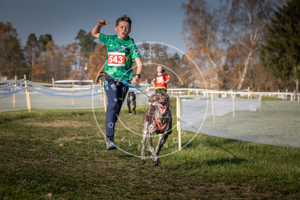 CaniXpix_0L8A8989 | Hundefotografie, Tierfotograf, Pfotenfotografie, Fotoshooting Hund, Hunde Portrait, Hundesport, Hundeportraits, Heideshooting, Hunde, Sportfotograf, Hundefotograf, Turnierhundsport, THS,  - Realisiert mit Pictrs.com