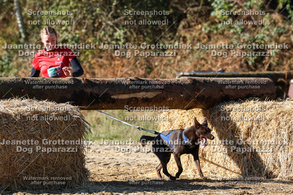 Dog Paparazzi - Strongdog 10-25-2500 | Dog Paparazzi Jeanette Grottendiek Fotografie & Videografie - Realisiert mit Pictrs.com