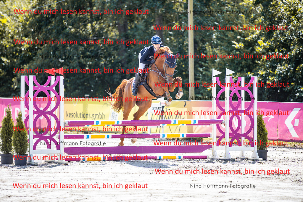 BK1A5034 | Turnierbilder Turnierfotos Nina Hüffmann Turnierfotografie Pferdefotografie Tierzeichnung Haustierzeichnung Pferdezeichnung Hundezeichnung Videograf  - Realisiert mit Pictrs.com